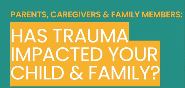  Addressing Trauma’s Impact on Children and Families