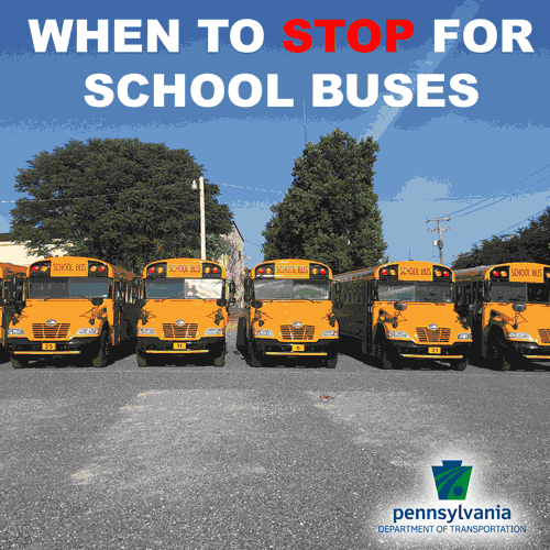 School Bus Stopping Law
